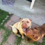 WhatsApp Image 2025-10-26 at 21.47.16_b4a5f3e9