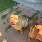 WhatsApp Image 2025-10-26 at 21.47.26_aa86efee