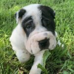 WhatsApp Image 2025-10-26 at 21.48.43_c5e7acc1