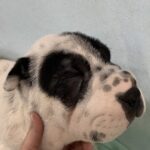 WhatsApp Image 2025-10-26 at 21.48.43_c6e05f76