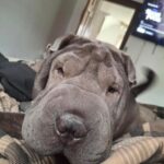 WhatsApp Image 2025-10-26 at 21.49.17_93d46a33