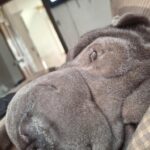 WhatsApp Image 2025-10-26 at 21.49.17_9499e82a