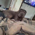 WhatsApp Image 2025-10-26 at 21.49.18_3ebc445c