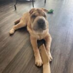 WhatsApp Image 2025-10-26 at 21.50.35_0f491b96