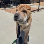 WhatsApp Image 2025-10-26 at 21.50.35_3ae73f09