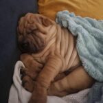 WhatsApp Image 2025-10-26 at 21.56.42_064a96dd