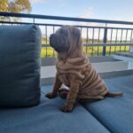 WhatsApp Image 2025-10-26 at 21.56.42_d4282abd