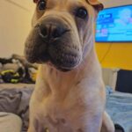 WhatsApp Image 2025-10-26 at 21.57.23_5be47dc4