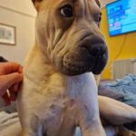 WhatsApp Image 2025-10-26 at 21.57.23_b4d29d3d