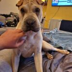 WhatsApp Image 2025-10-26 at 21.57.24_fd9859cd