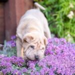 WhatsApp Image 2025-10-26 at 21.59.24_9f6983f1