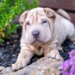 WhatsApp Image 2025-10-26 at 21.59.25_0d2383ad