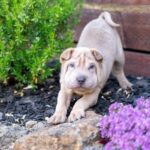 WhatsApp Image 2025-10-26 at 21.59.25_ab7bc58a