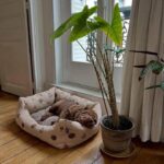 WhatsApp Image 2025-10-26 at 22.02.16_469228b2