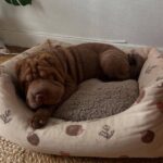 WhatsApp Image 2025-10-26 at 22.02.16_b26bf0da