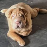 WhatsApp Image 2025-10-26 at 22.03.56_c3024661