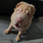 WhatsApp Image 2025-10-26 at 22.03.56_f916aadf