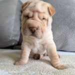 WhatsApp Image 2025-11-05 at 02.47.56_2657bad4