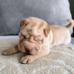 WhatsApp Image 2025-11-05 at 02.47.56_50cee240