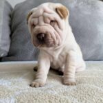 WhatsApp Image 2025-11-05 at 02.53.47_29e99617