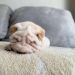 WhatsApp Image 2025-11-05 at 02.53.48_cf6f1179