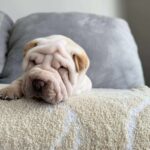 WhatsApp Image 2025-11-05 at 02.53.48_f2be743f